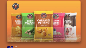 Portfolios-POP-NOSH work